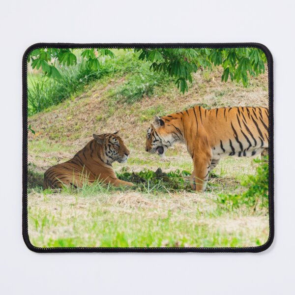 Item preview, Majestic Tigers in the Wild – Two Bengal Tigers in Lush Green Forest designed and sold by StyleForge Apparel.