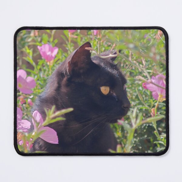 Item preview, Black Cat Among Pink Flowers designed and sold by MB-CatPrints.