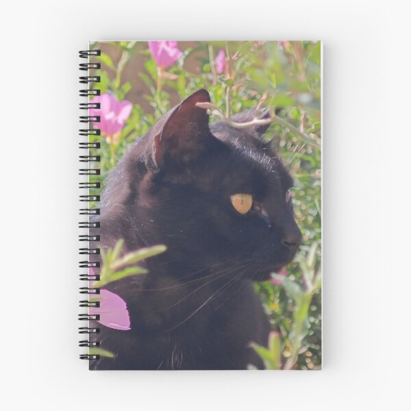 Item preview, Black Cat Among Pink Flowers designed and sold by MB-CatPrints.