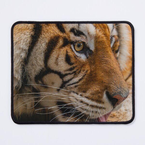 Item preview, Majestic Yawning Tiger – Close-Up Golden Eye Wildlife Portrait designed and sold by StyleForge Apparel.