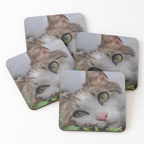 Item preview, Close Up Cat Portrait with Beautiful Green Eyes designed and sold by MB-CatPrints.