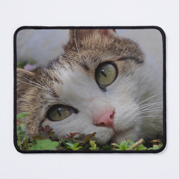 Item preview, Close Up Cat Portrait with Beautiful Green Eyes designed and sold by MB-CatPrints.
