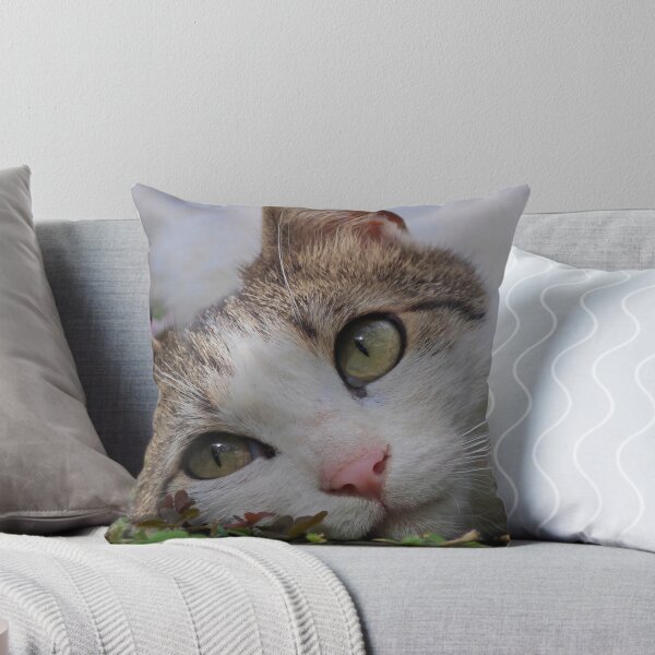 Item preview, Close Up Cat Portrait with Beautiful Green Eyes designed and sold by MB-CatPrints.