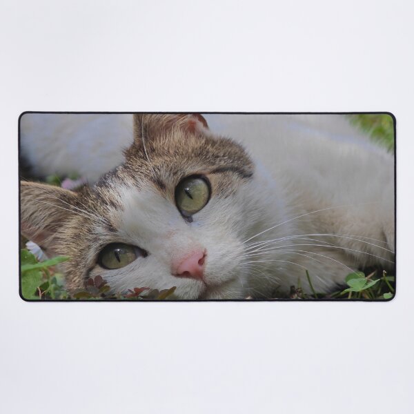 Item preview, Close Up Cat Portrait with Beautiful Green Eyes designed and sold by MB-CatPrints.