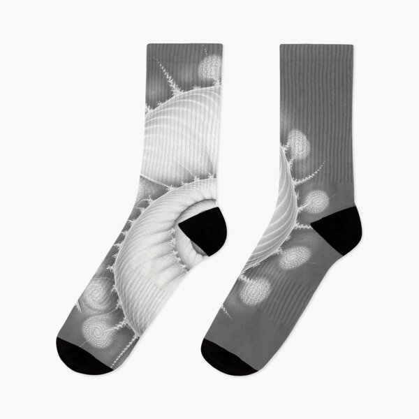 Item preview, Glowing White Shell on Mid Grey designed and sold by RAGANADesign.