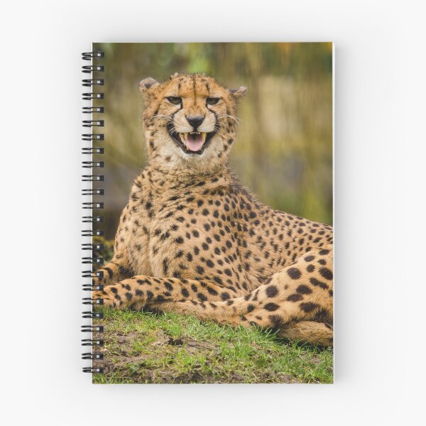 Item preview, Majestic Cheetah Portrait – Wild African Big Cat Wildlife Photography designed and sold by StyleForge Apparel.