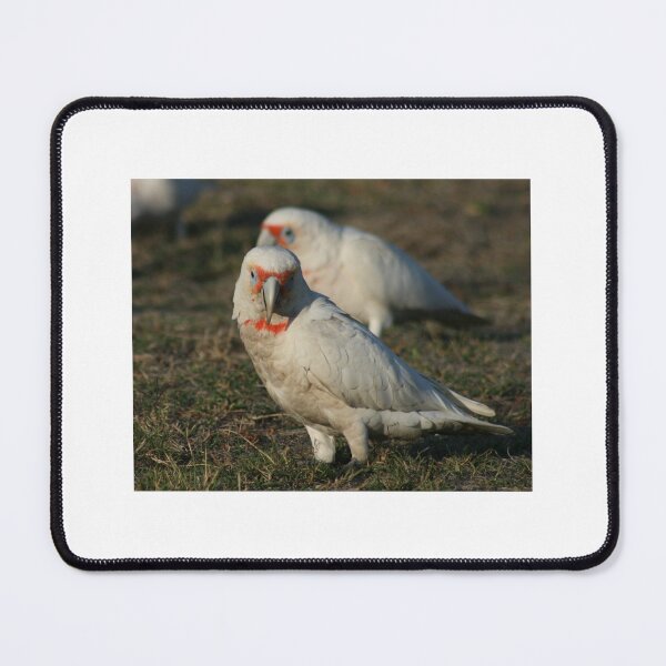 Item preview, The Two of Us designed and sold by Paula Bone.
