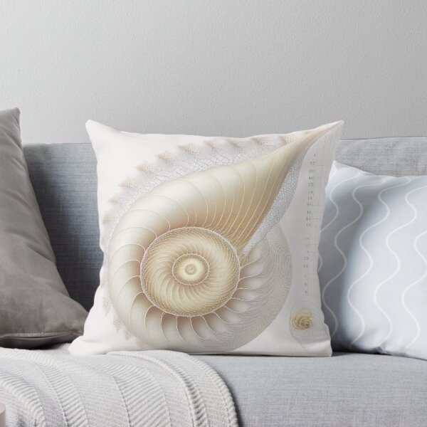 Item preview, Cream Shell with Beaded Crest designed and sold by RAGANADesign.