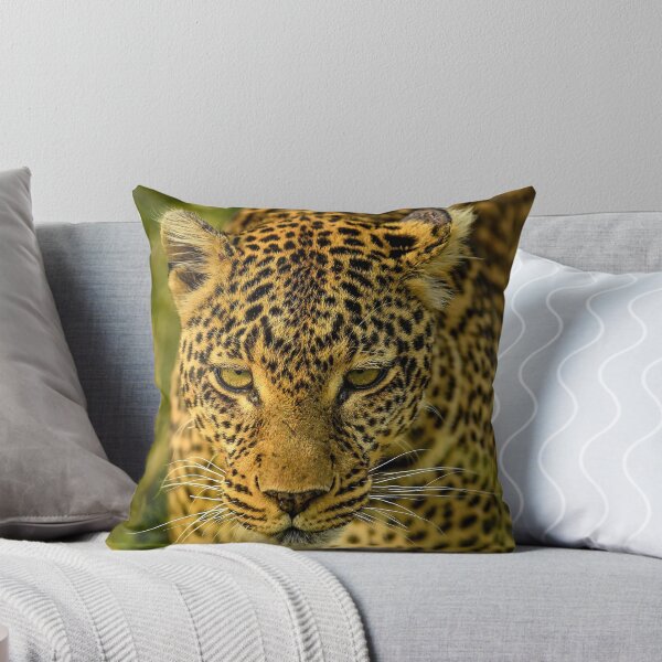 Item preview, Stealthy African Leopard Prowling Through Tall Grass designed and sold by OlaniPictures.