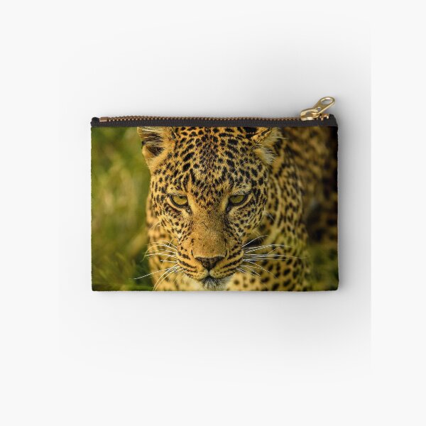 Item preview, Stealthy African Leopard Prowling Through Tall Grass designed and sold by OlaniPictures.