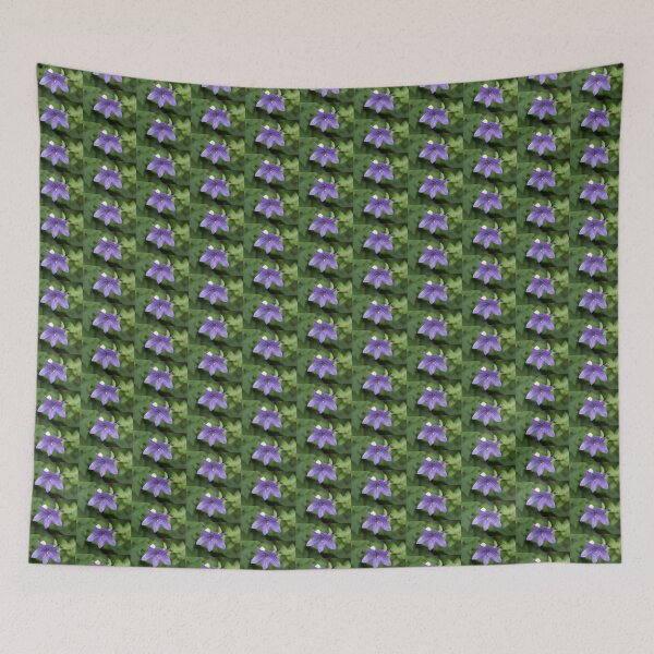 Item preview, Beautiful Violet Balloon Flower Bloom designed and sold by Georgia Mizuleva.