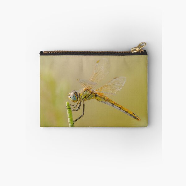 Item preview, Red-veined Darter designed and sold by Ralph Goldsmith.