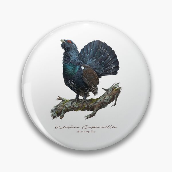 Item preview, Western Capercaillie on Rustic Branch Bird Illustration designed and sold by Takeda-art.