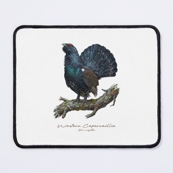Item preview, Western Capercaillie on Rustic Branch Bird Illustration designed and sold by Takeda-art.