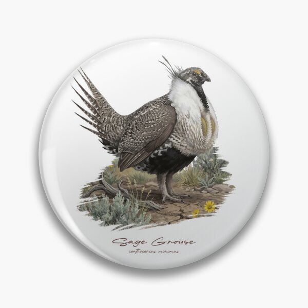 Item preview, Sage Grouse on Grass Land Bird Illustration designed and sold by Takeda-art.