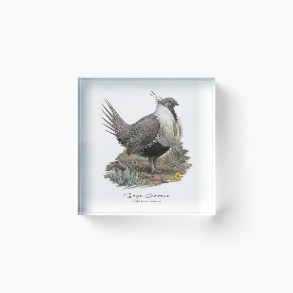 Item preview, Sage Grouse on Grass Land Bird Illustration designed and sold by Takeda-art.