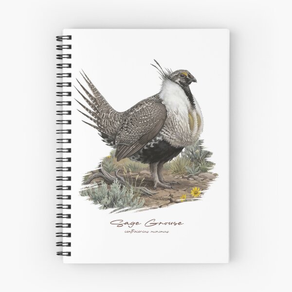 Item preview, Sage Grouse on Grass Land Bird Illustration designed and sold by Takeda-art.