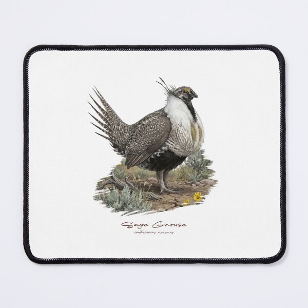 Item preview, Sage Grouse on Grass Land Bird Illustration designed and sold by Takeda-art.