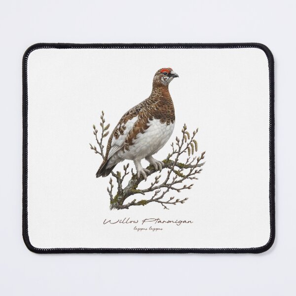 Item preview, Willow Ptarmigan on Branch Bird Illustration designed and sold by Takeda-art.