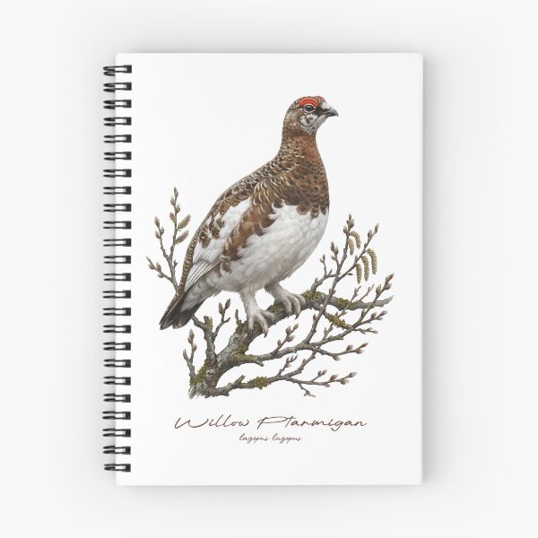 Item preview, Willow Ptarmigan on Branch Bird Illustration designed and sold by Takeda-art.