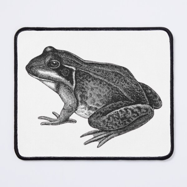 Item preview, Minimalist Ink-Style Bullfrog Study designed and sold by domostore.