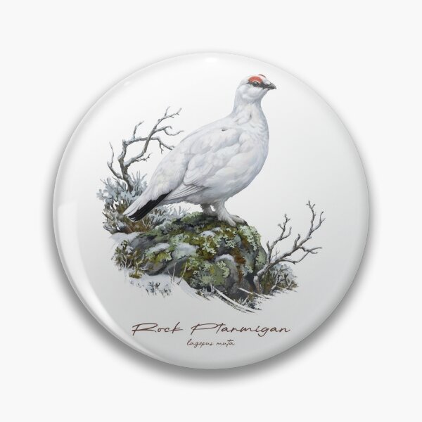 Item preview, Rock Ptarmigan on Snow Covered Rock Bird Illustration designed and sold by Takeda-art.
