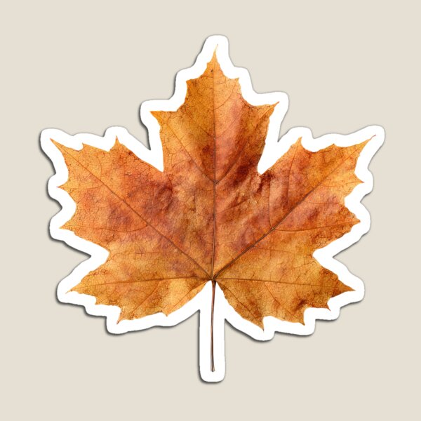 Item preview, Autumn Maple Leaf Fall Foliage designed and sold by jianina-alondra.