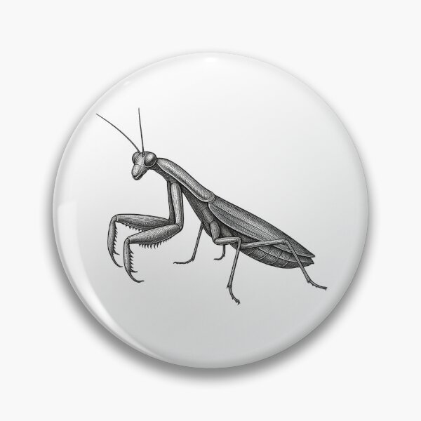 Item preview, Praying Mantis Vintage Ink Engraving designed and sold by domostore.