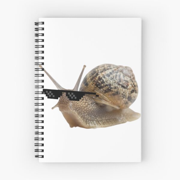 Item preview, Snail deal with it doge funny sarcastic sarcasm doge dog dogs meme parody christmas birthday designed and sold by CheeseBlueprint.