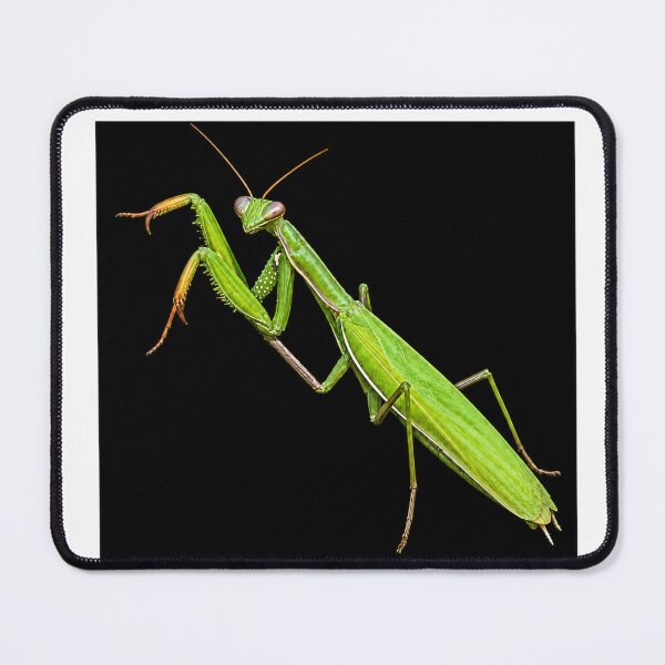 Item preview, I love to eat you /praying mantis designed and sold by Malwasneues.