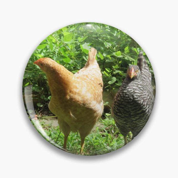 Item preview, The Neighbourhood Neighbourhood Watch (Poultry Division) designed and sold by Astute-Artio-Photography.