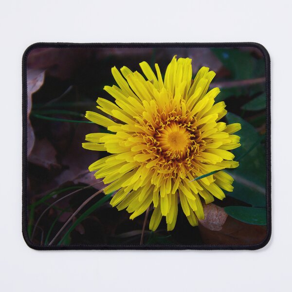 Item preview, Golden Dandelion Bloom designed and sold by ShotsbyDesiree.