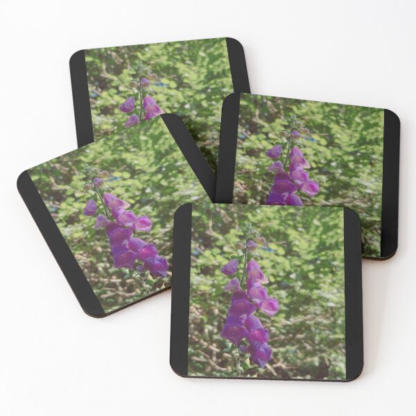 Item preview, digitalis purpurea among greenery and sunlight (brig o turk, scotland) (july 22026) designed and sold by photosbykel.