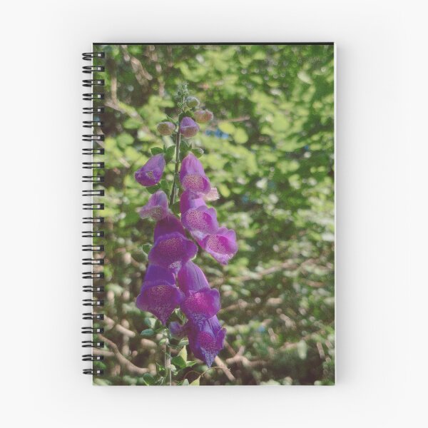 Item preview, digitalis purpurea among greenery and sunlight (brig o turk, scotland) (july 22026) designed and sold by photosbykel.