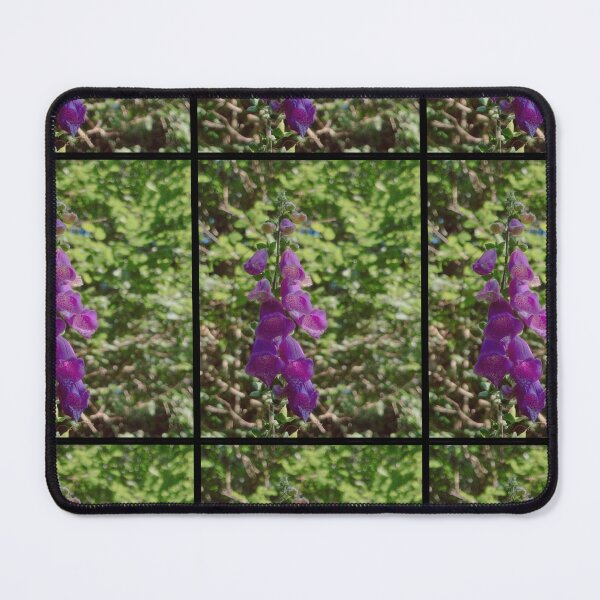 Item preview, digitalis purpurea among greenery and sunlight (brig o turk, scotland) (july 22026) designed and sold by photosbykel.