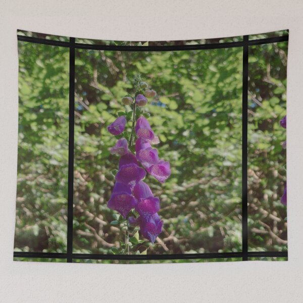 Item preview, digitalis purpurea among greenery and sunlight (brig o turk, scotland) (july 22026) designed and sold by photosbykel.