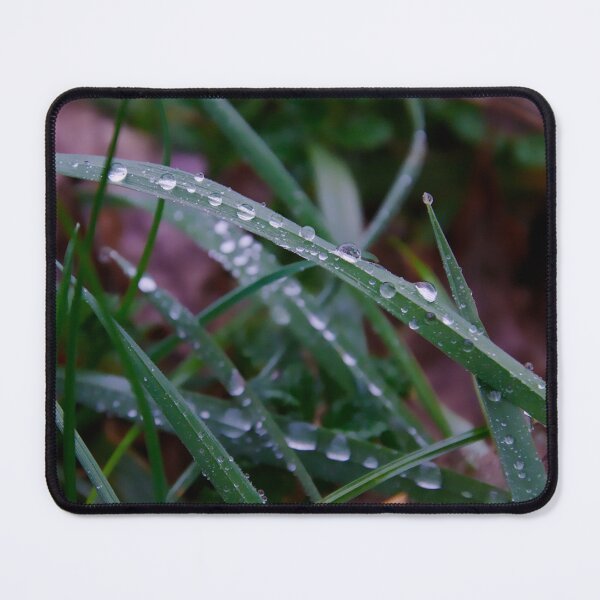 Item preview, Nature Macro – Dewdrops on Grass designed and sold by ShotsbyDesiree.