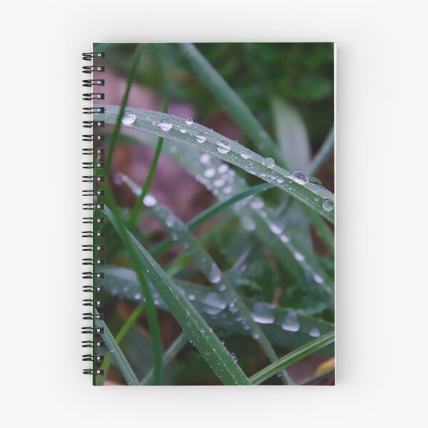 Item preview, Nature Macro – Dewdrops on Grass designed and sold by ShotsbyDesiree.