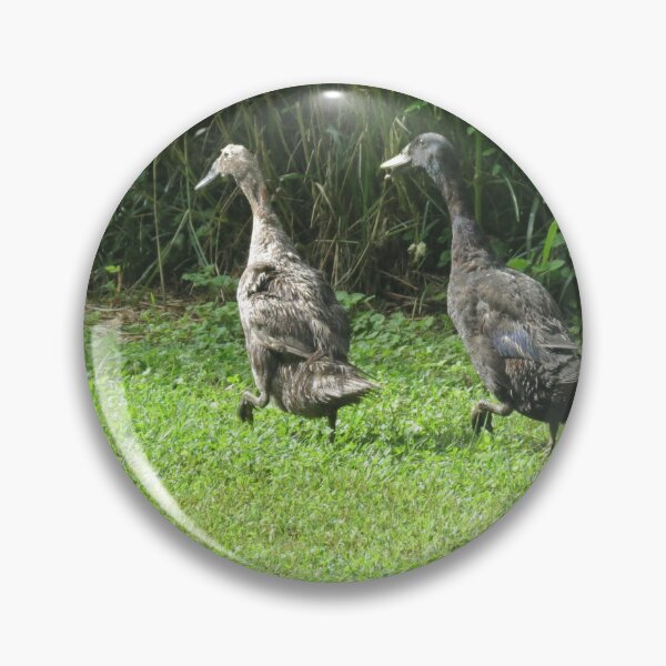 Item preview, The Great Lawn Escape: Operation Breadcrumb designed and sold by Astute-Artio-Photography.