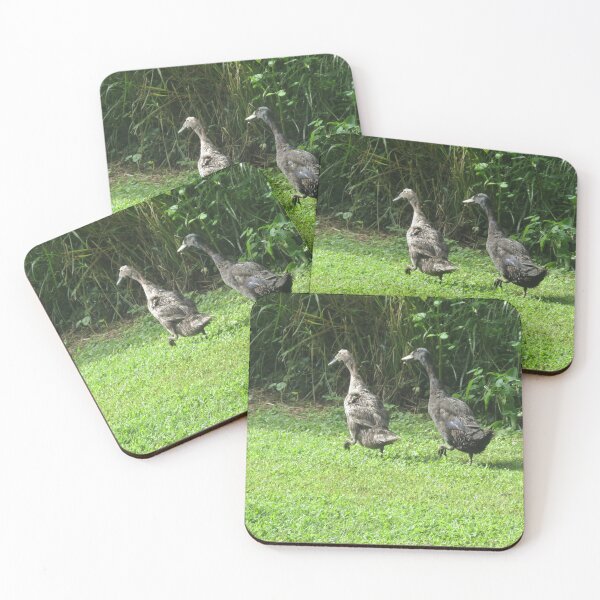 Item preview, The Great Lawn Escape: Operation Breadcrumb designed and sold by Astute-Artio-Photography.