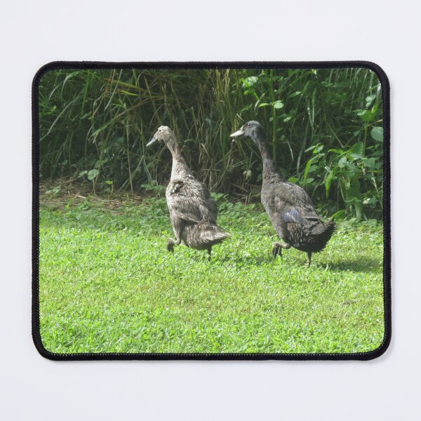 Item preview, The Great Lawn Escape: Operation Breadcrumb designed and sold by Astute-Artio-Photography.