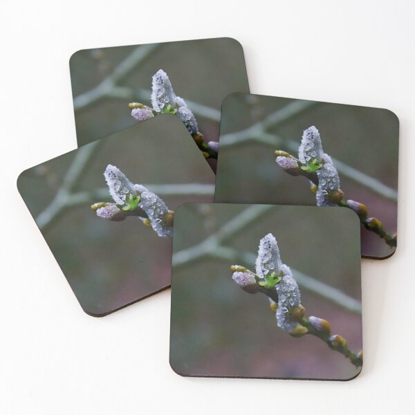Item preview, Willow Catkins Dewdrops designed and sold by ShotsbyDesiree.