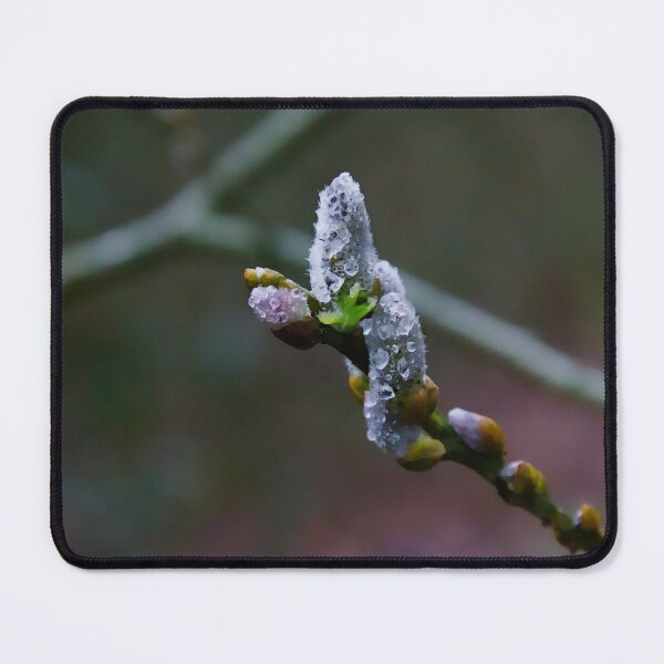Item preview, Willow Catkins Dewdrops designed and sold by ShotsbyDesiree.