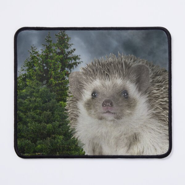 Item preview, Hedgehog of Destiny designed and sold by GeoGoose.