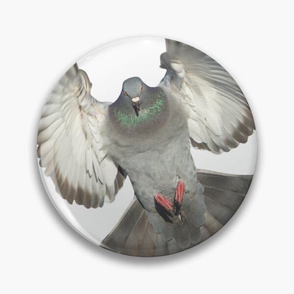 Item preview, Pigeon Attack designed and sold by GeoGoose.