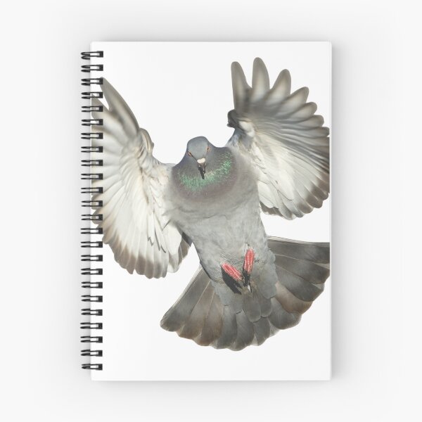 Item preview, Pigeon Attack designed and sold by GeoGoose.