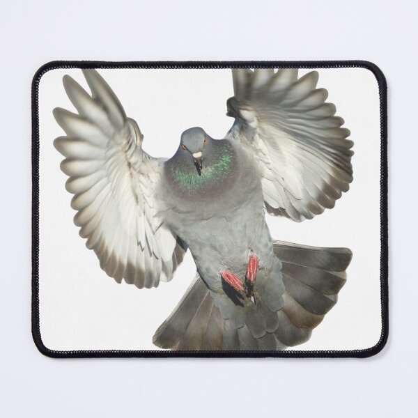 Item preview, Pigeon Attack designed and sold by GeoGoose.