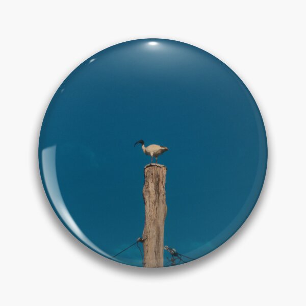 Item preview, Bin Chicken (Ibis) On a Pole designed and sold by Taran Skye Photography .