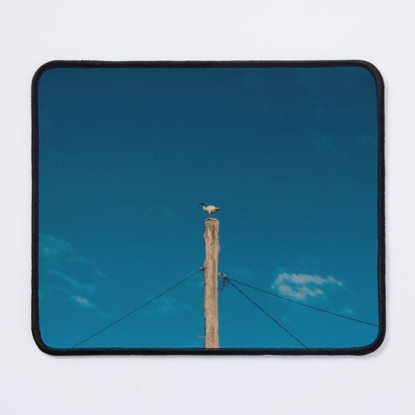 Item preview, Bin Chicken (Ibis) On a Pole designed and sold by Taran Skye Photography .