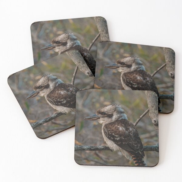 Item preview, Kookaburra Close-up designed and sold by Taran Skye Photography .